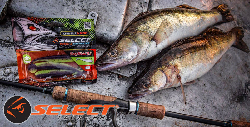 Select softbaits