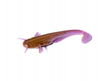 Силиконовая приманка FishUp Catfish 3" - col.016 (Lox/Green & Black), (8 шт.)