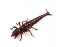 Силиконовая приманка FishUp Diving Bug 2" - col.050 (Green Pumpkin Brown/Red & Purple), (8 шт.)
