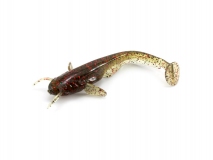 Силиконовая приманка FishUp Catfish 3" - col.045 (Green Pumpkin/Red & Black), (8 шт.)