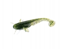 Силиконовая приманка FishUp Catfish 2" - col.042 (Watermelon Seed), (8 шт.)